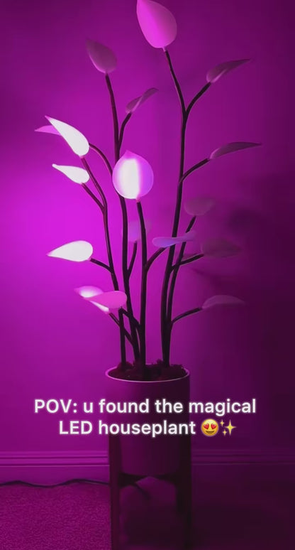 Magic Plant Light