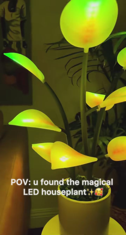 Magic Plant Light