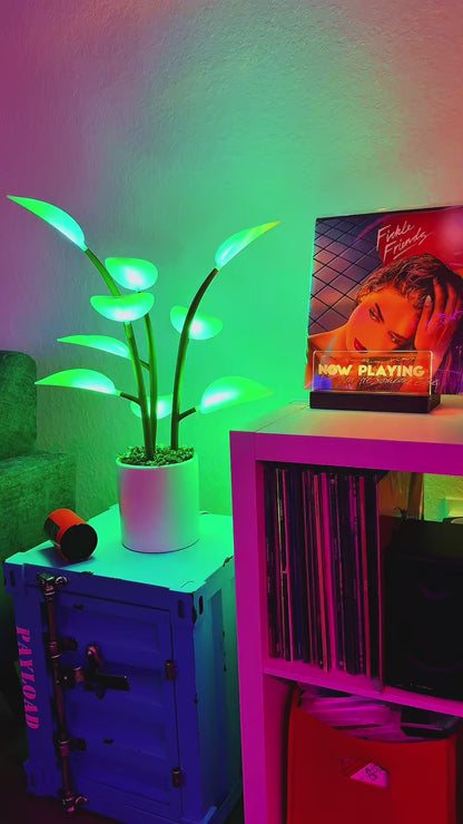 Magic Plant Light